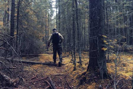 Купить диплом Егеря, лесника в Новомосковске